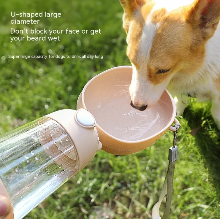 Eco-Friendly Portable Water Bottle for Pets